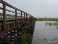 063_Biebrza - kwiecien 2011